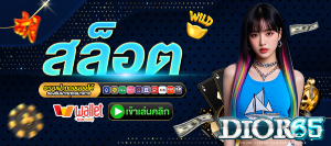 dior65 slot